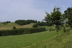 10-Schulte-Bories-Knapp