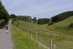 11-Schulte-Bories-Knapp-B