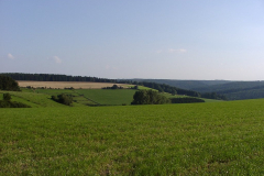 28-Scheppenberg